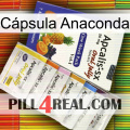 Cápsula Anaconda 11